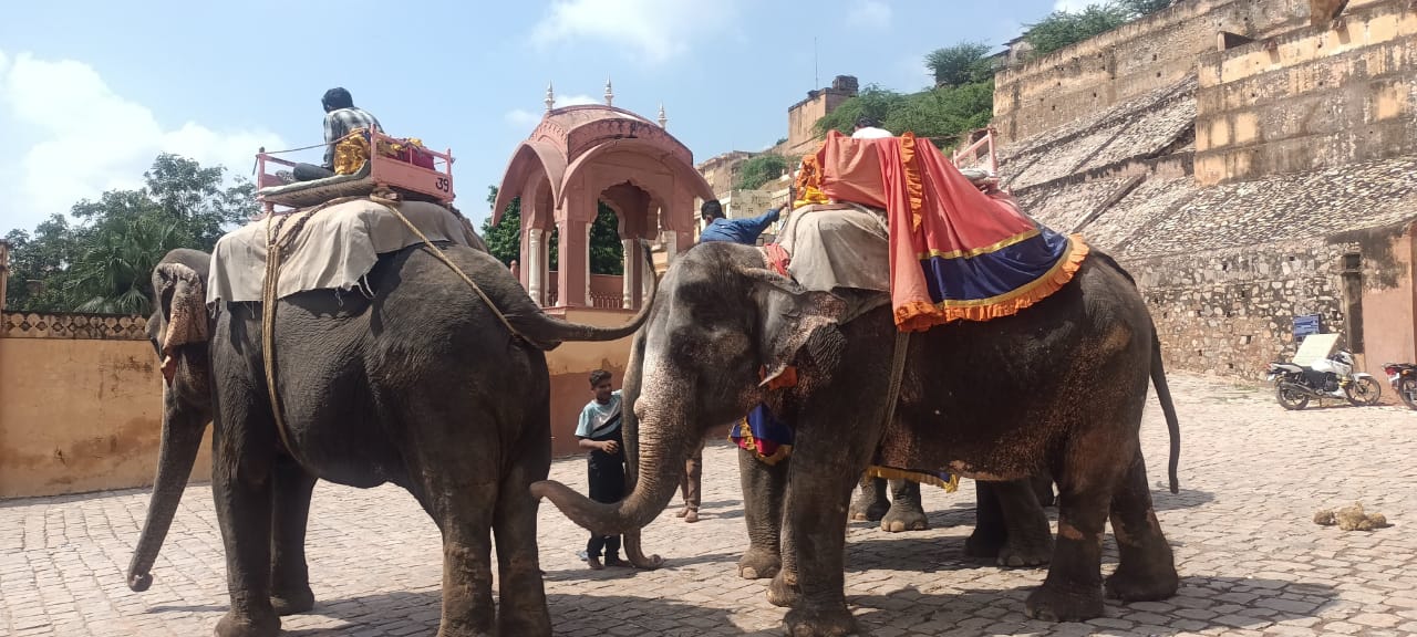 Luxury Golden Triangle Tour India 6 night/7 days